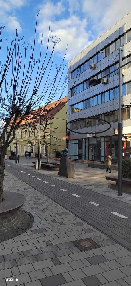 Spațiu Comercial de Închiriat – 80 mp – Central – Str. Corneliu Coposu - Imagine principală: 1/8