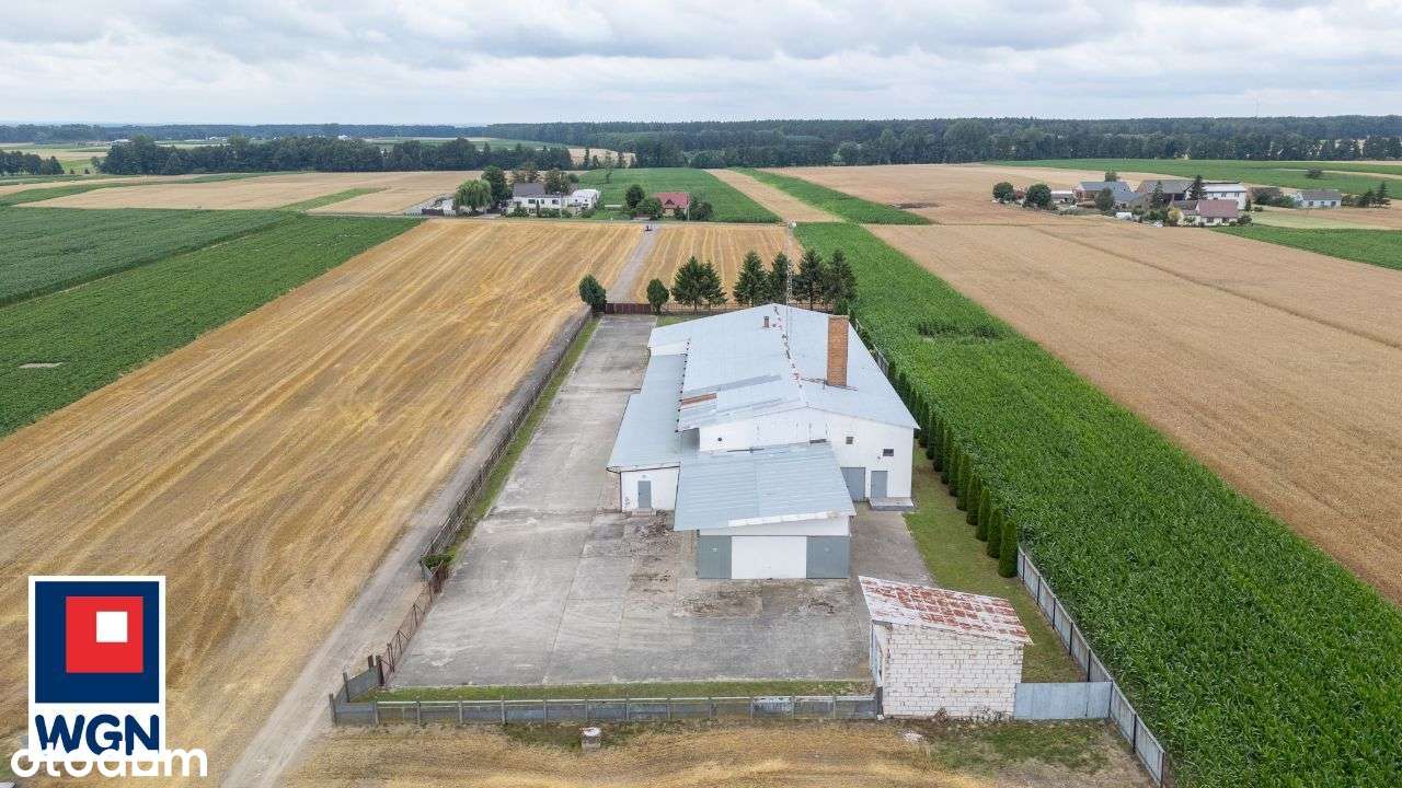 Budynek produkcyjny w branży mięsnej k. Grodziska Wlkp. - Pełny obrazek: 4/6