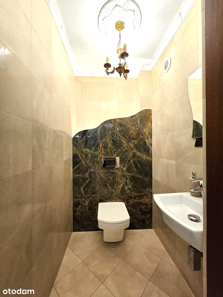 Piękny Dom w otoczeniu zieleni z2010r, działka 15ar+stawek + garaż-14