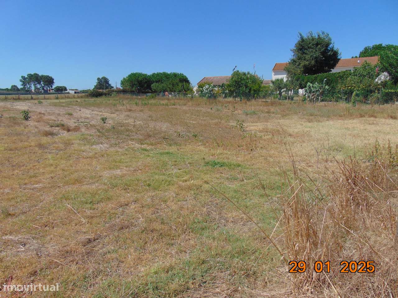 Terreno Rústico 5.000 m2 - Terrim - Pinhal Novo - Grande imagem: 4/4