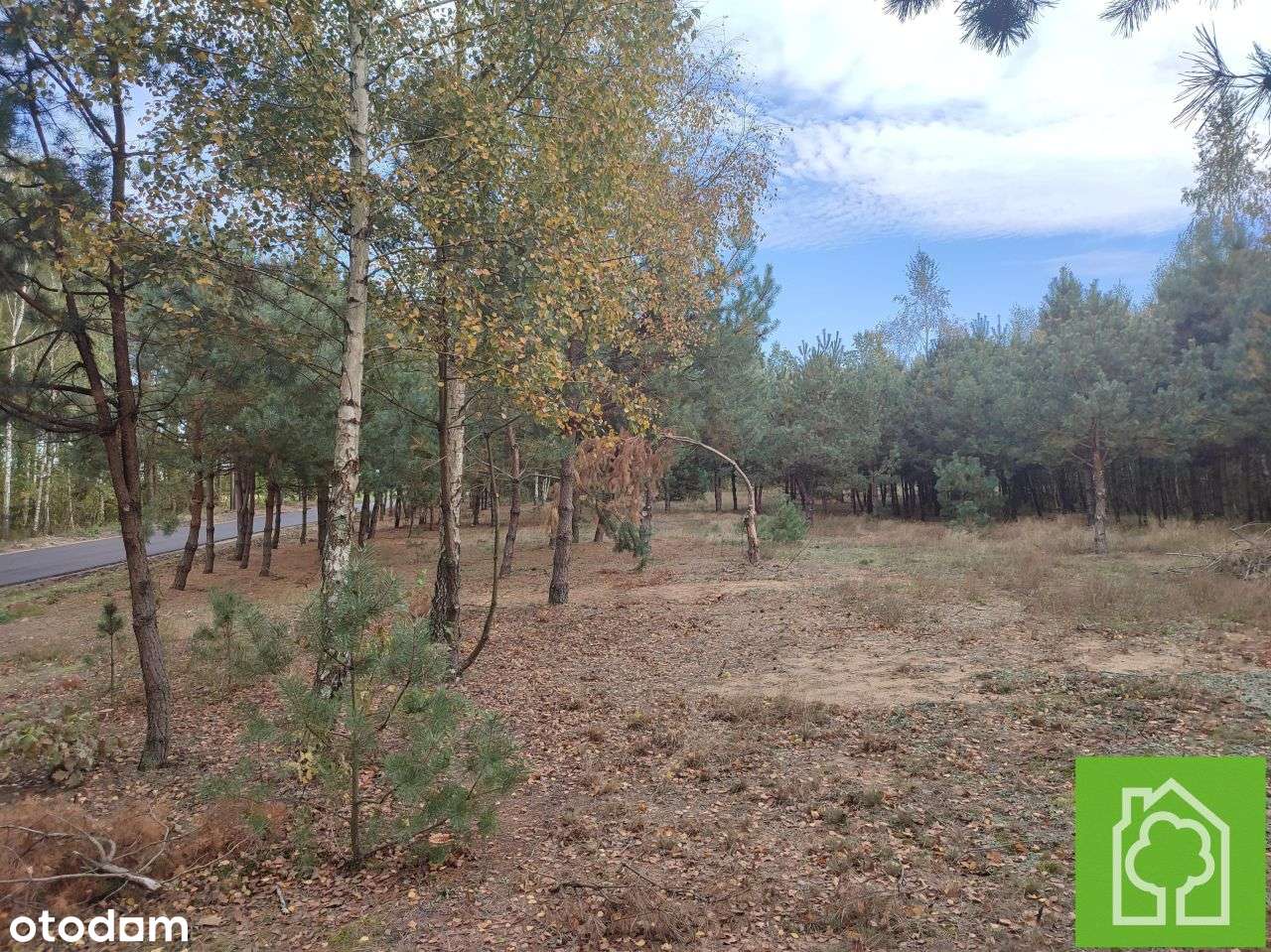 Działka, 1 008 m², Skudzawy-15