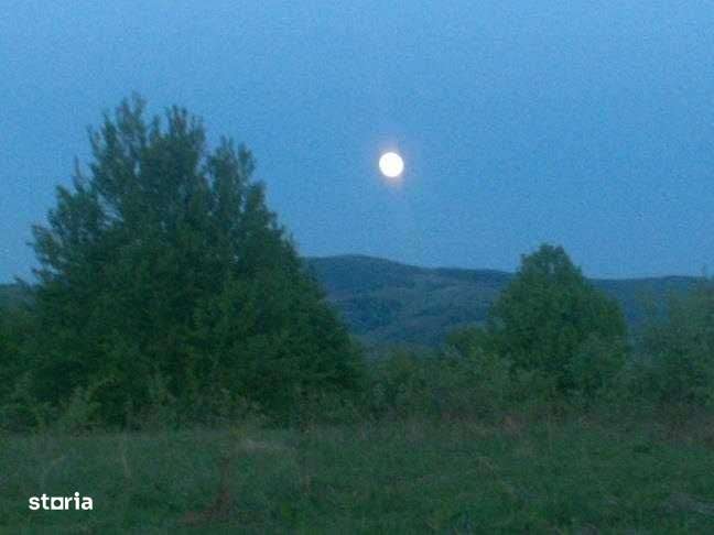 Teren construibil 7,8 ha drum interior, deschidere la sosea asfaltata - Imagine principală: 5/6