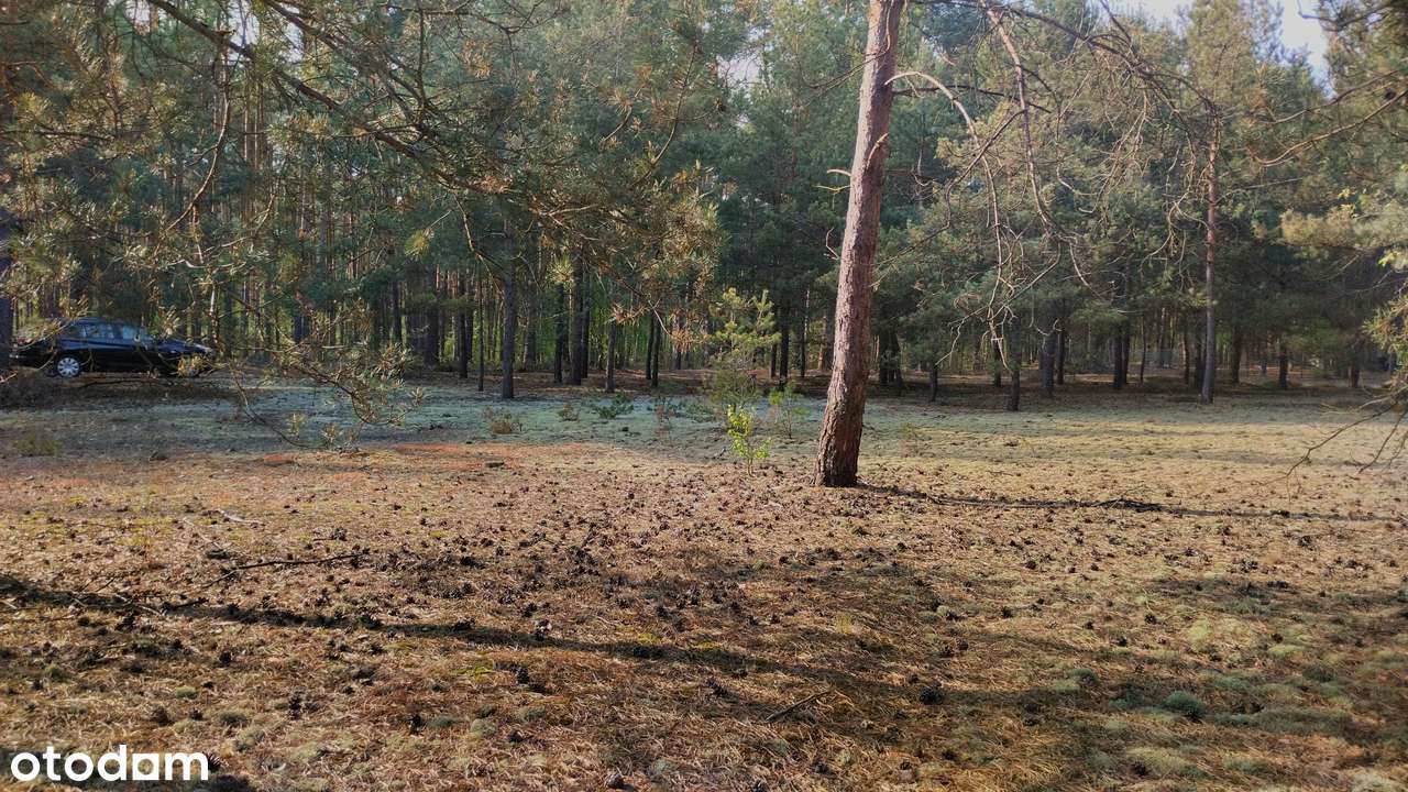 Sprzedam urokliwą działkę - Tuliska - Pełny obrazek: 3/11