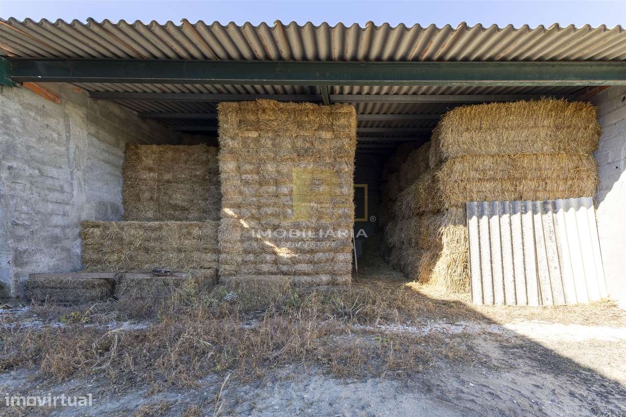 Moradia T2+1 Venda em São Vicente do Paul e Vale de Figueira,Santarém-26