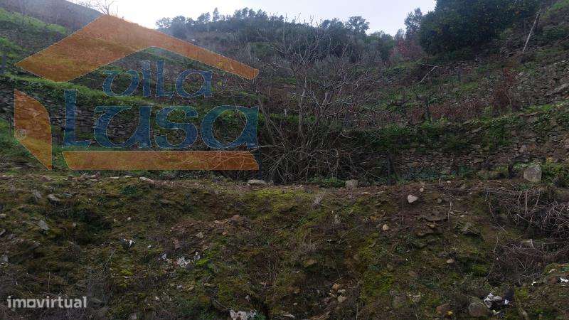 Quintinha em Santo Adrião - Grande imagem: 5/20