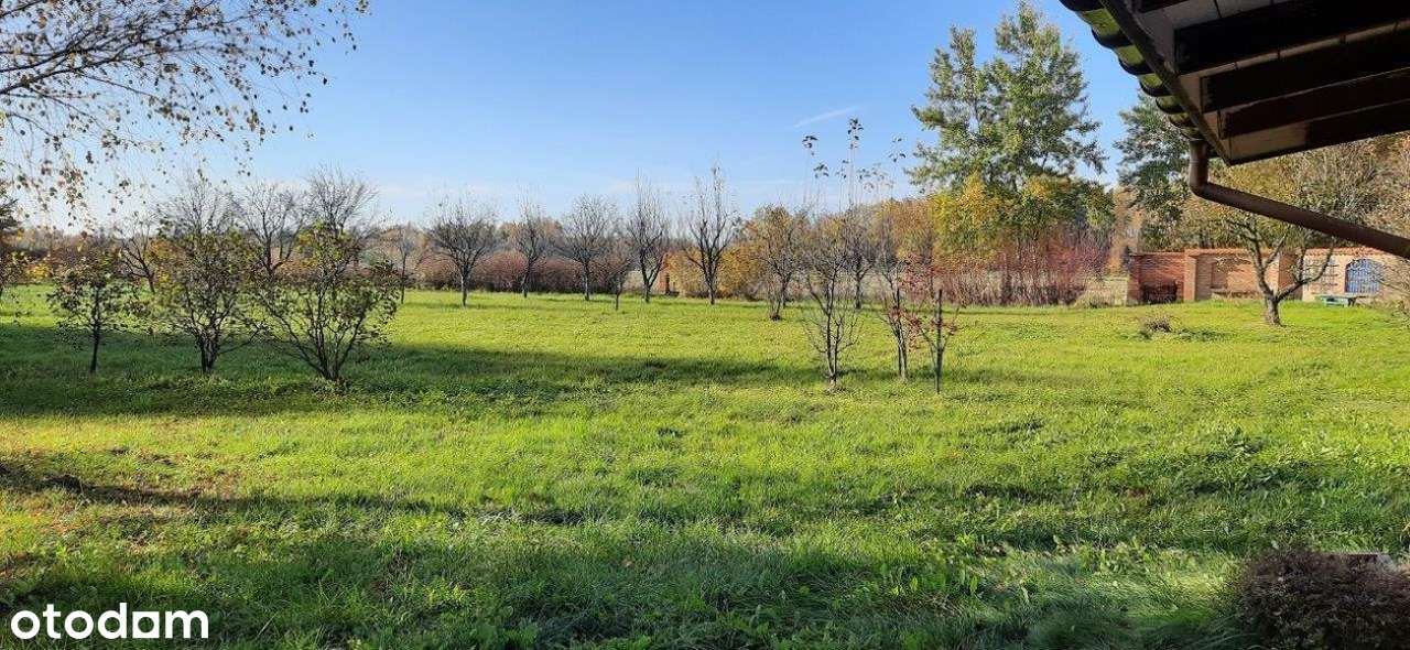 Piękna działka siedliskowa z budynkami. - Pełny obrazek: 5/19