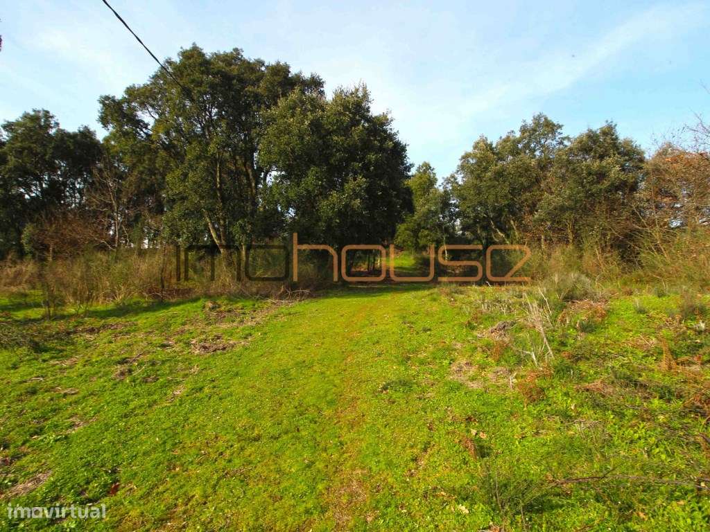 Quinta de 5.6 ha - Varias edificações, ribeiro e vista Douro-17