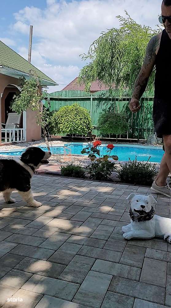 Casa tip P+M zona Gura Calnaului - Imagine principală: 3/20