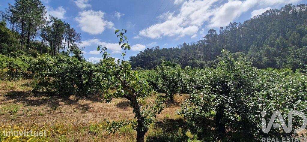 Terreno em Azueira e Sobral da Abelheira de 7812,00 m2 - Grande imagem: 5/21