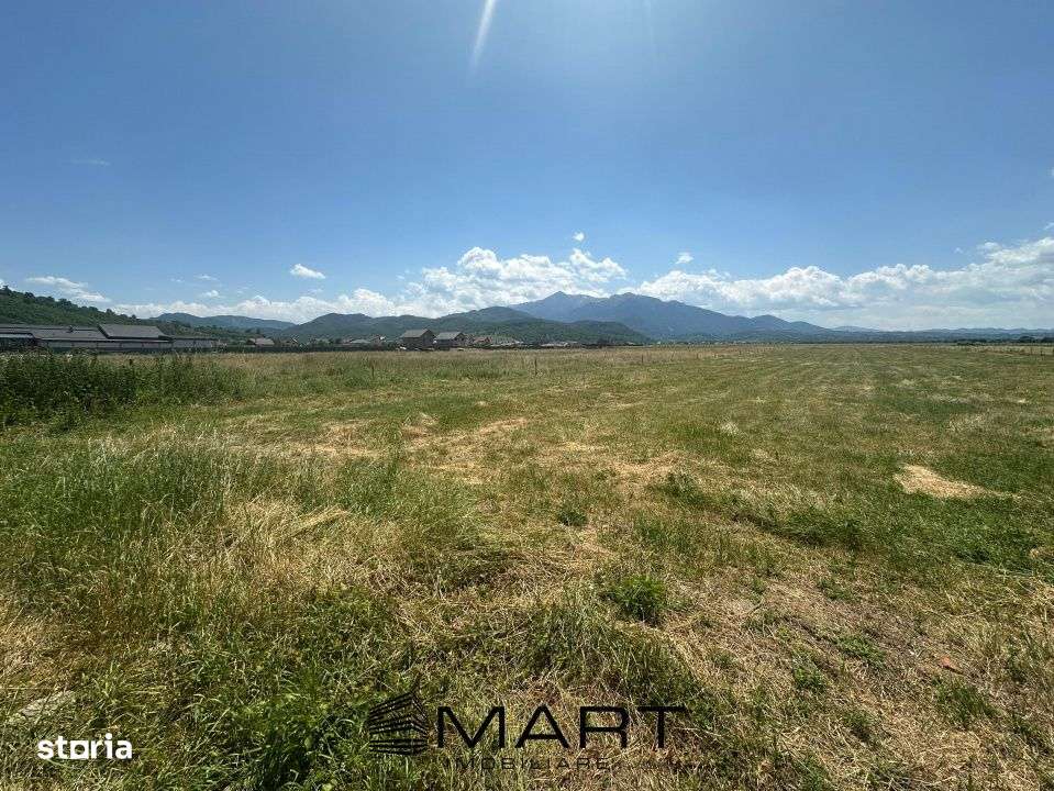 Teren Intravilan Rasnov 7.500 mp - Imagine principală: 3/11