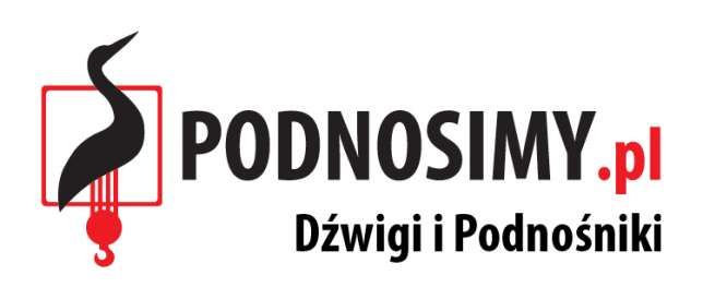 Dźwigi i Podnośniki logo