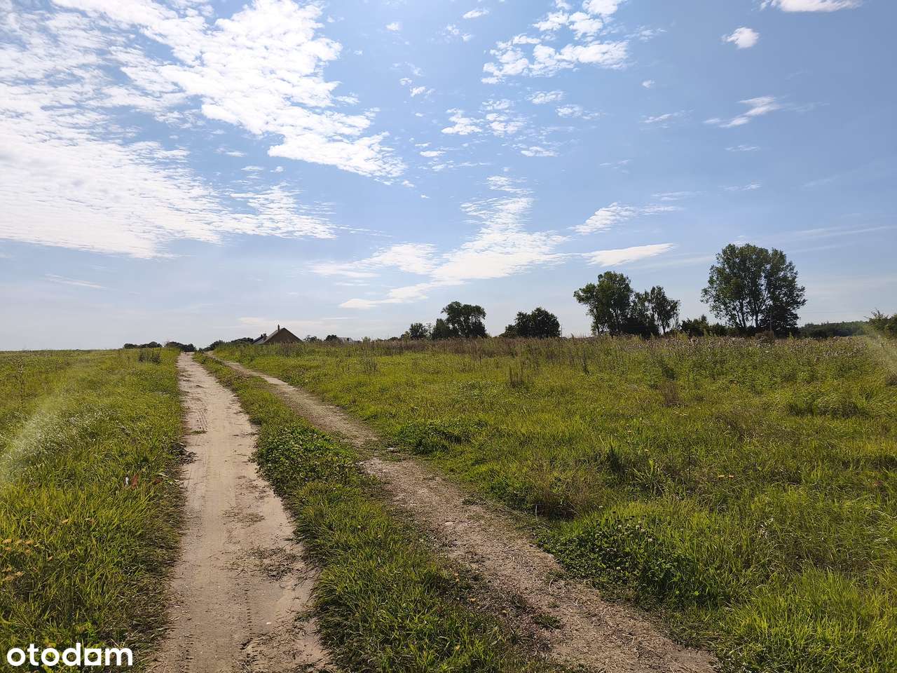 Miejsce pod Twój dom na wsi - Pełny obrazek: 5/15