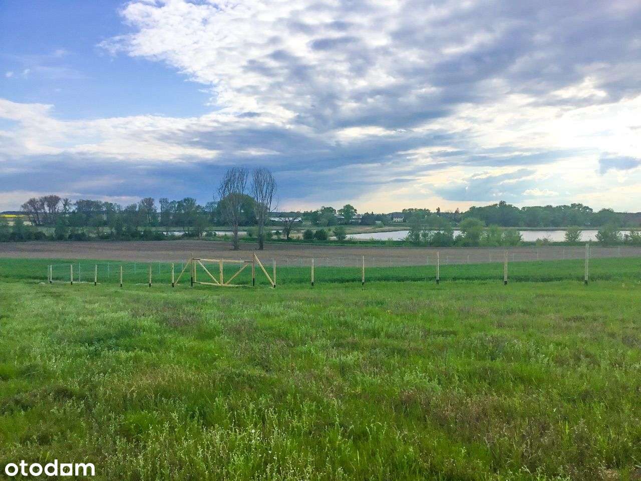 Działka z Ścianą LASU oraz Widokiem na ROZLEWISKA - Pełny obrazek: 2/5