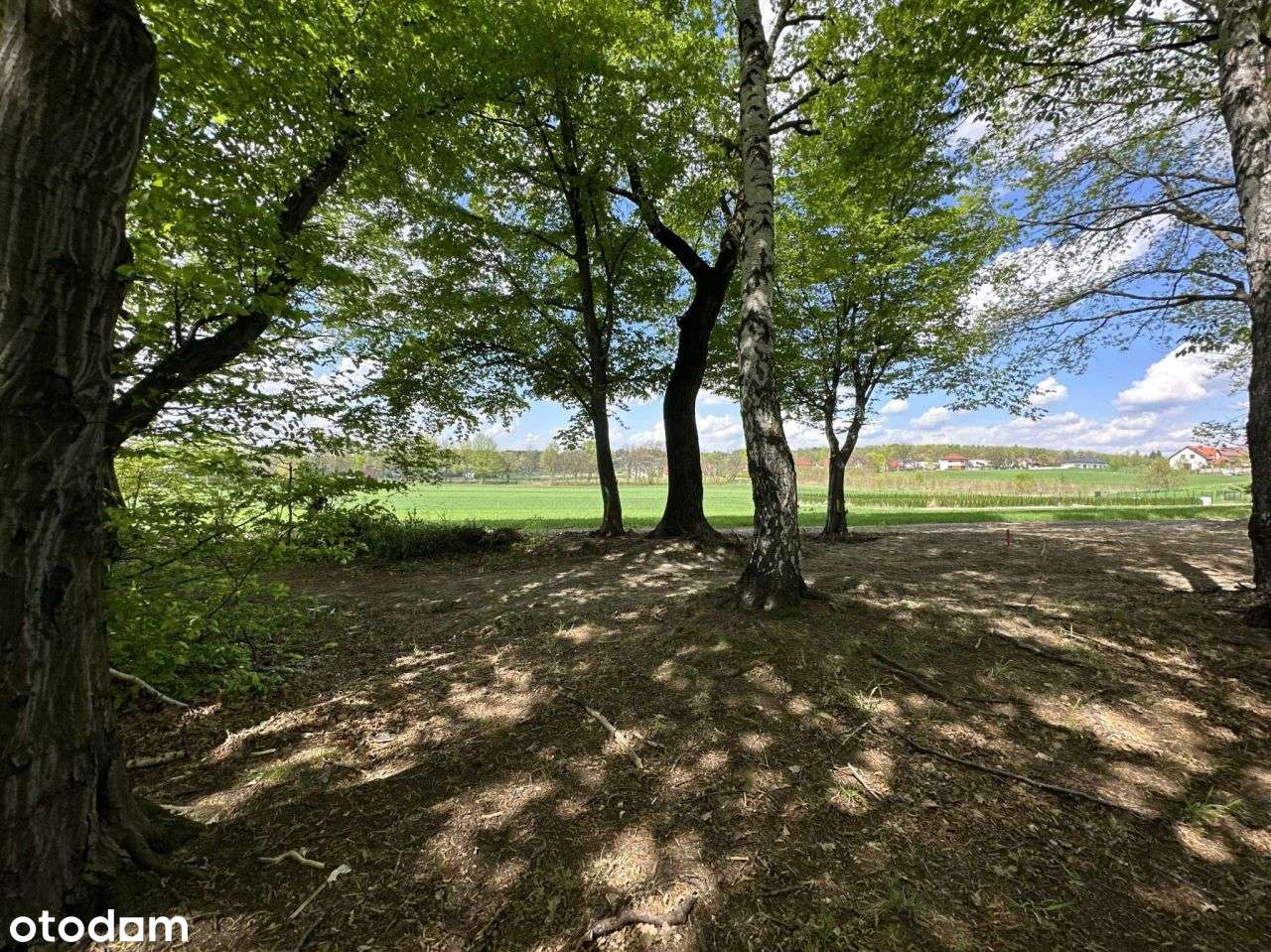 Działka z lasem - Mysłowice, ul. Graniczna-5