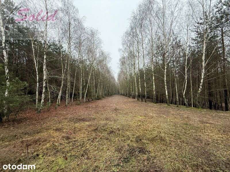 Atrakcyjna działka z warunkami zabudowy w spokojnej okolicy - Pełny obrazek: 3/11