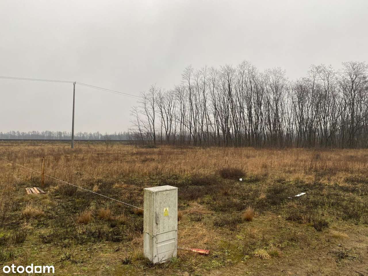 Działka nad jeziorem k. Boszkowa -Perkowo - Pełny obrazek: 2/5