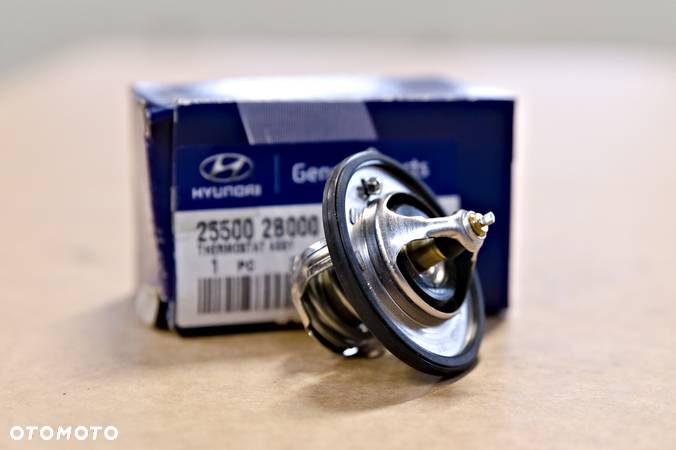 Termostat Hyundai 255002B000 - 1