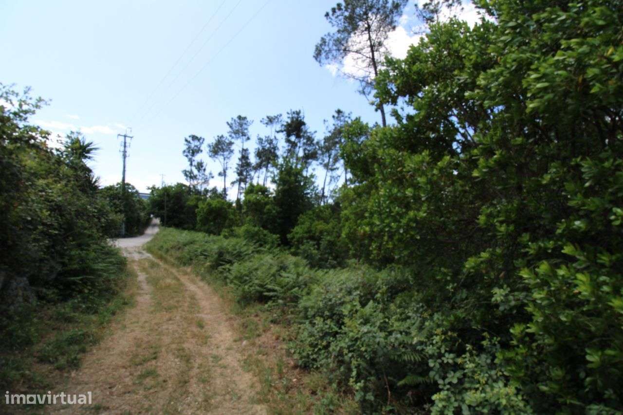 Terreno com Viabilidade de Construção - Orgens - Viseu - Grande imagem: 3/12