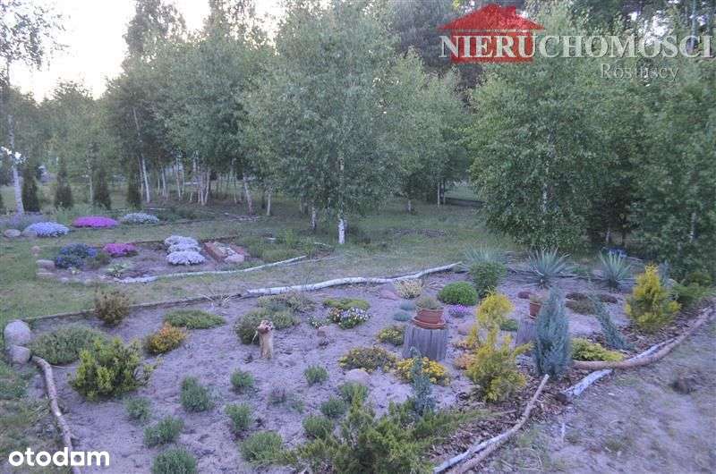 Działka budowlana w Dąbrówce(Ostrówek),bliskość S8 - Pełny obrazek: 3/12