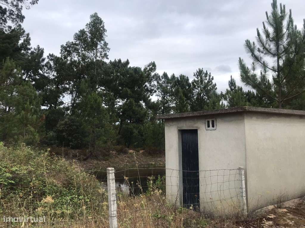 Quinta com casinha na Chancelaria, Torres Novas-11