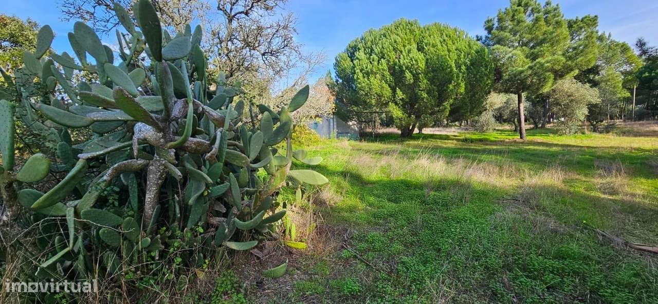 Terreno com Projeto para Moradia V6 - Grande imagem: 5/18