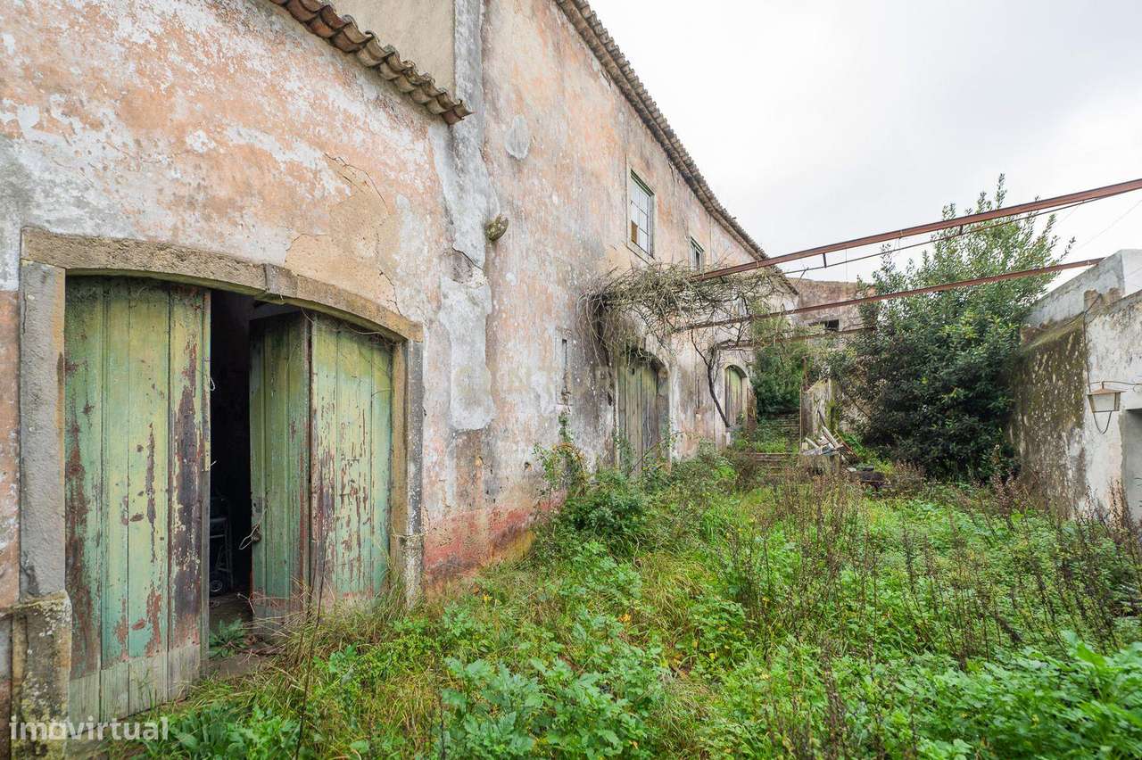 Oportunidade de Investimento | Bucelas - Grande imagem: 5/6