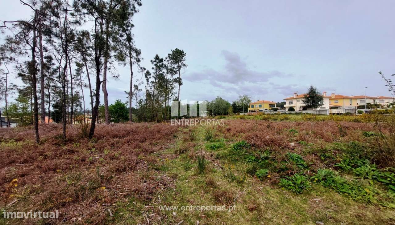 Venda de fantástico terreno para construção, Alvarães, Viana do Ca - Grande imagem: 5/30