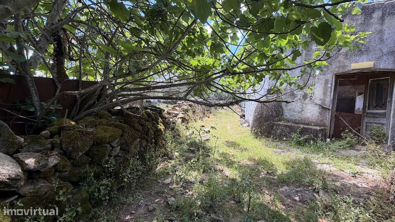 2 Moradias para recuperação - Flor da Rosa - Crato - Alentejo-9