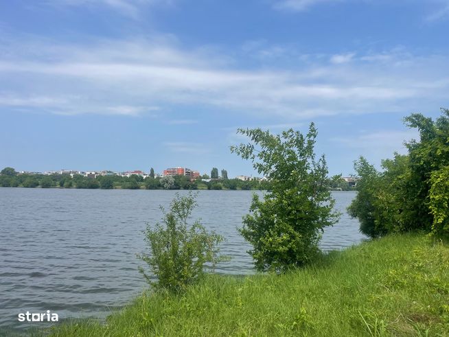 Damaroaia -Coralilor Deschidere Lac Grivita-1