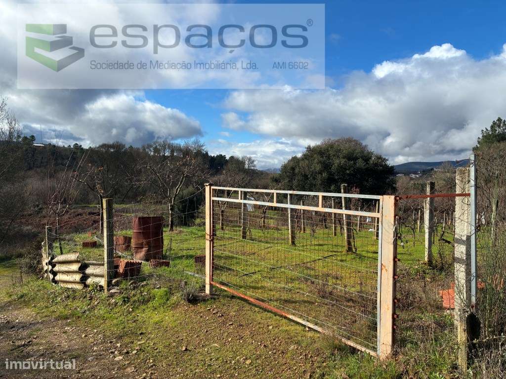 Magnifica Quinta a confinar com Rio Zêzere-16