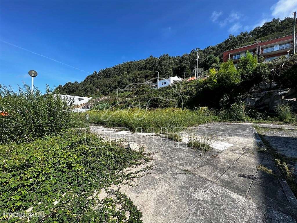 Lote Areosa - Grande imagem: 4/5