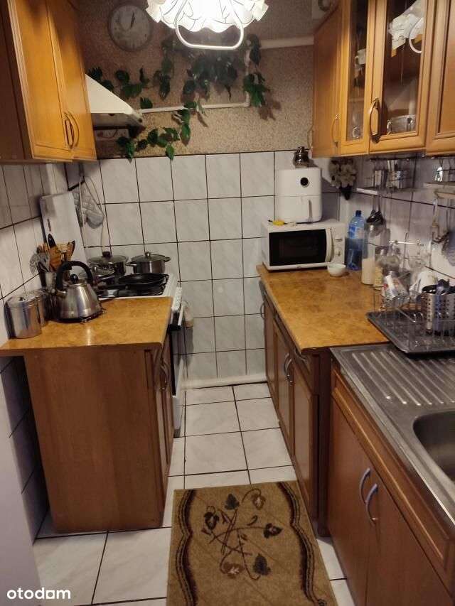 Siedlisko w Baboszewie z dużą działka - Pełny obrazek: 4/12