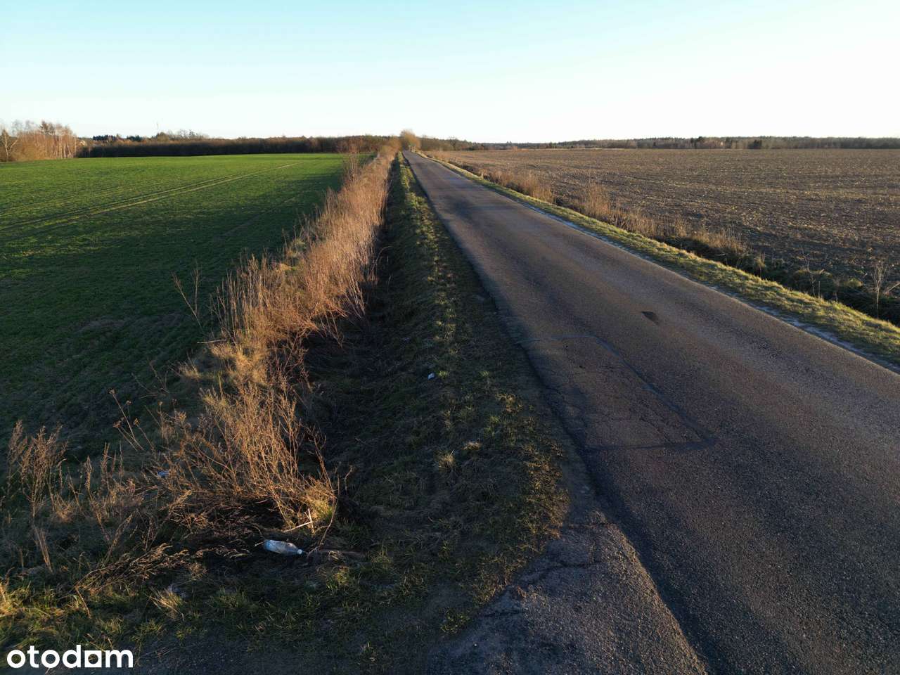 Działka rolna 10140 m2 Nienawiszcz gm. ROGOŹNO-5