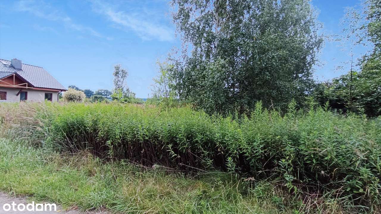 Brzezina, gm. Miękinia, 1010 m2, budowlana - Pełny obrazek: 4/8