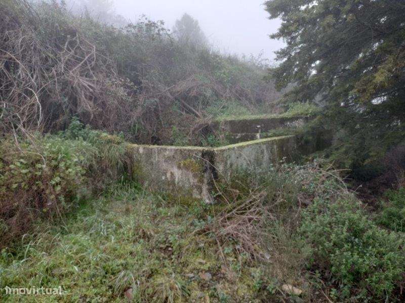 Terreno | Vila Real | 57 Hectares - Grande imagem: 5/7