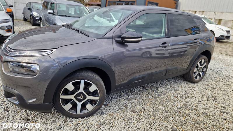 Citroën C4 Cactus 1.2 PureTech GPF Shine Pack EAT6 - 3