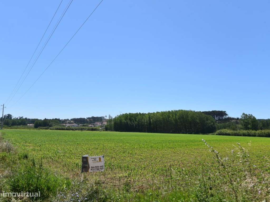 Terreno Agrícola em Leiria de 56.000 m2 (Campos do LIs) - Grande imagem: 4/10