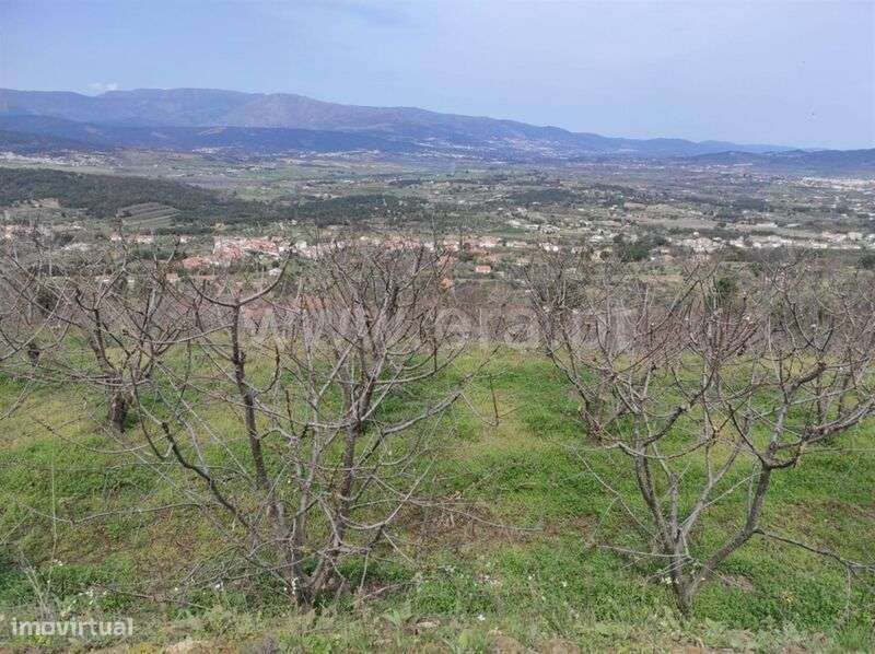 Quinta / Fundão, Aldeia Nova - Grande imagem: 3/4