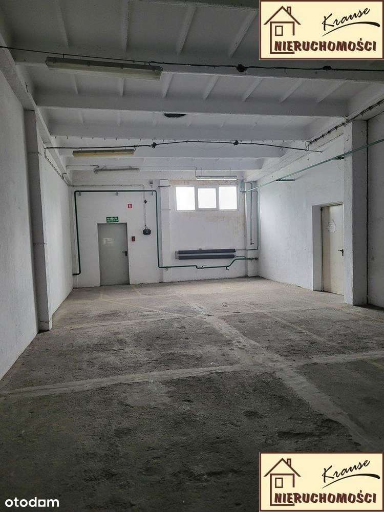 biuro -magazyn 180 m2, rampa - Pełny obrazek: 5/12