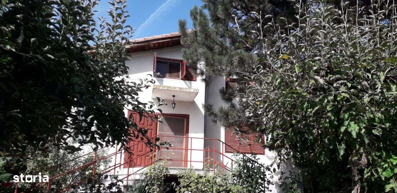 Adunatii Copaceni - Imagine principală: 1/17