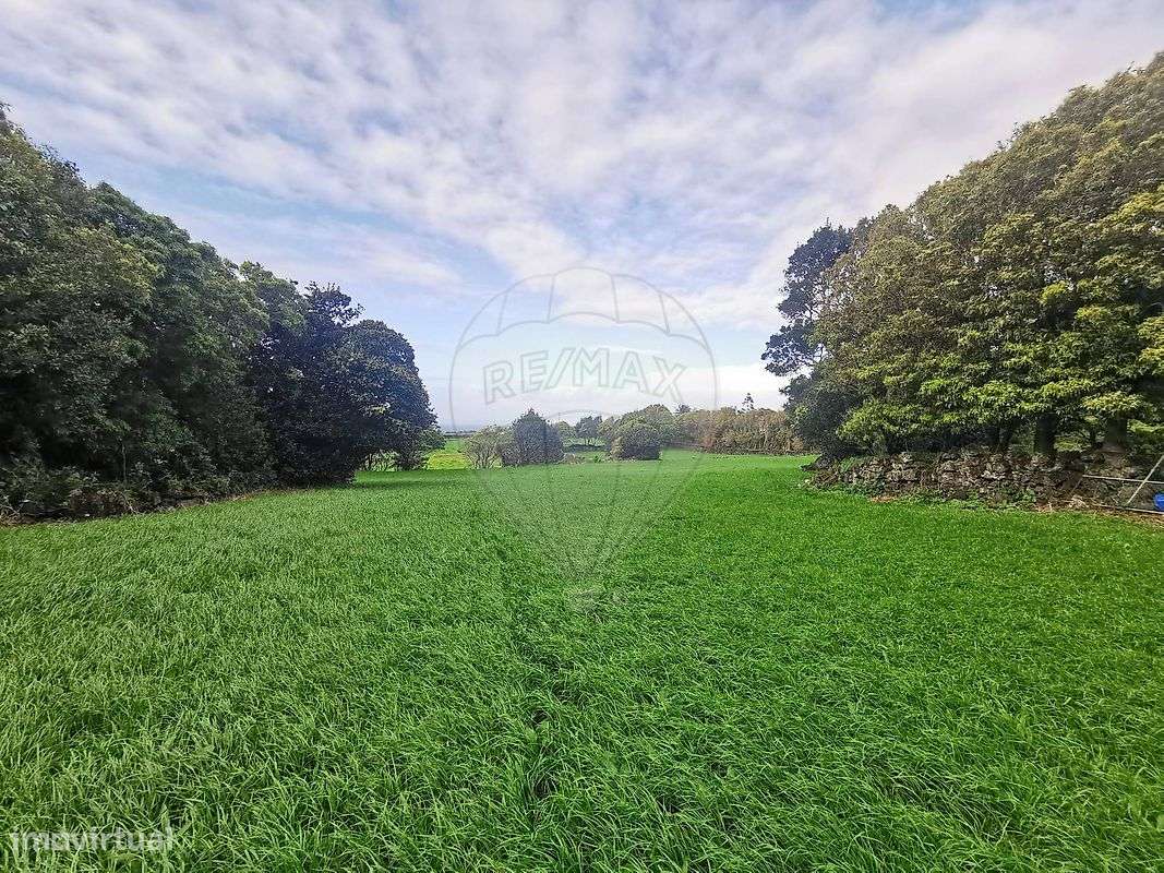 Terreno  para venda - Grande imagem: 3/17