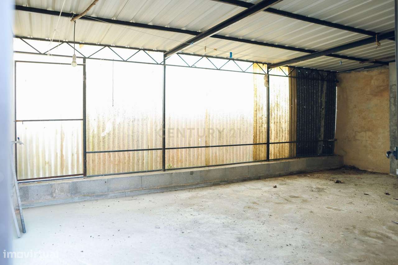 Casa T3 em Oliveira do Bairro - Oportunidade Imperdível! - Grande imagem: 5/20