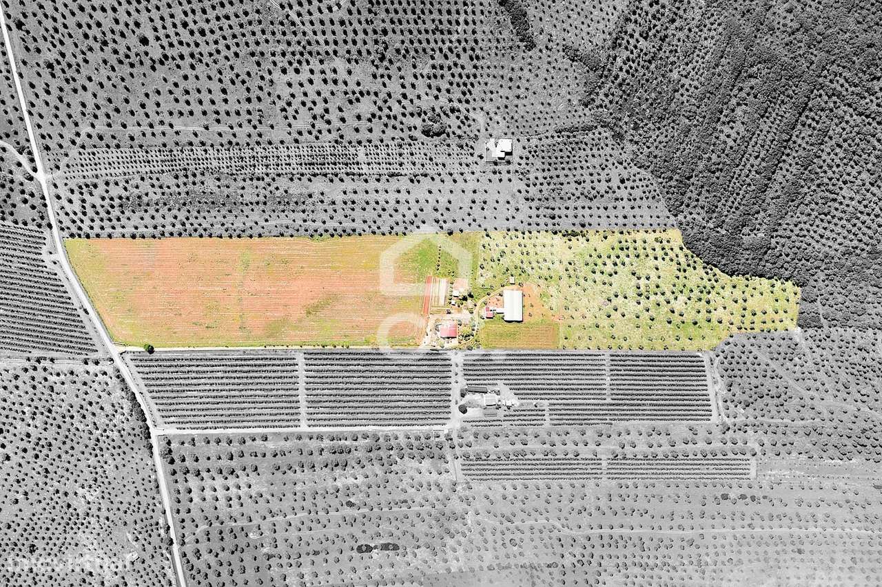 Quinta com 7,4 ha c/ Moradia em Renovação e Infraestruturas Agrícolas - Grande imagem: 2/60