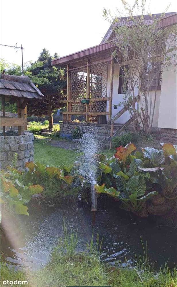 Działka rekreacyjna !! Woda prąd całorocznie! ROD POLANA - Pełny obrazek: 5/5