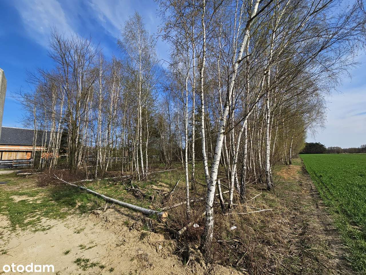 Działka budowlana 1000m2 Wrząca, gm. Lutomiersk - Pełny obrazek: 4/6