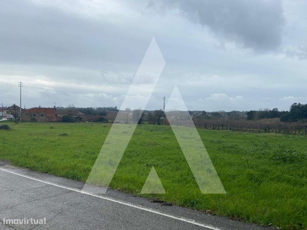Terreno na Amoreira da Gândara em Anadia - Grande imagem: 4/11