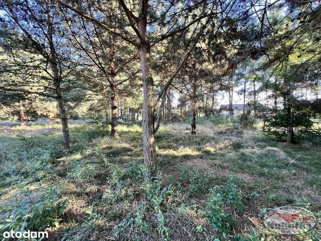 Działka Z Pozwoleniem Na Budowę - Glinik-6