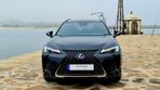 Lexus UX 250h Special Edition (LCA) - 13