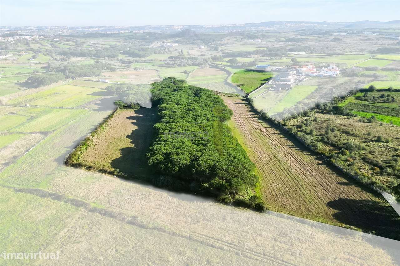 Terreno Rústico com 6 Hectares | São João das Lampas e Terrugem – Sint-7