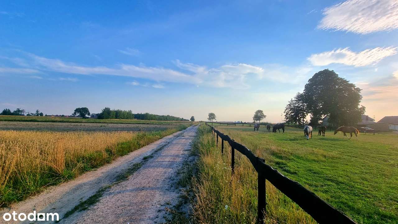 Na sprzedaż działki budowalne z WZ Andrespol Bedoń Brzeziny Koluszki-9